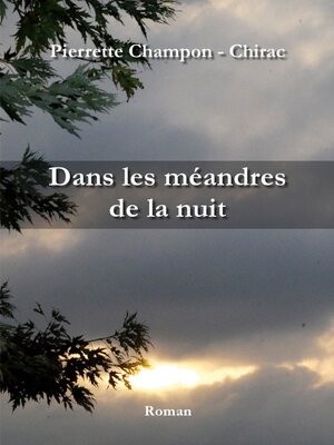 cover image of Dans les méandres de la nuit